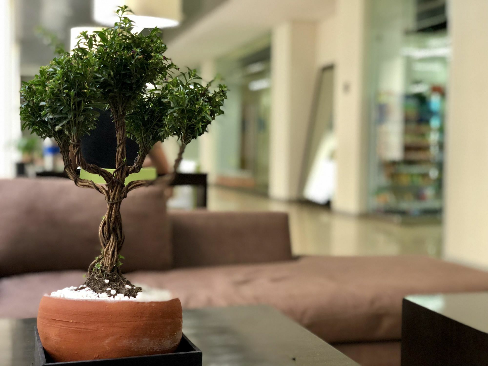 Boutique Apartment Puerta Alameda-801 เม็กซิโกซิตี้ ภายนอก รูปภาพ